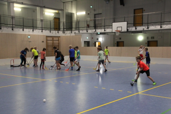 SMSFloorball18_02