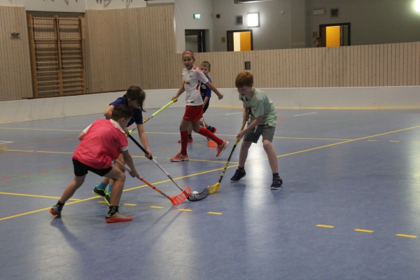 SMSFloorball18_10