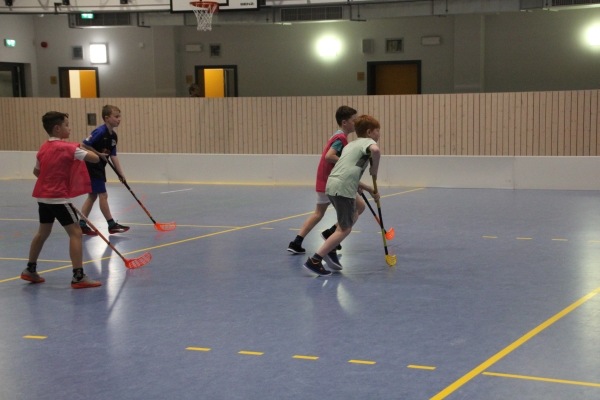 SMSFloorball18_11
