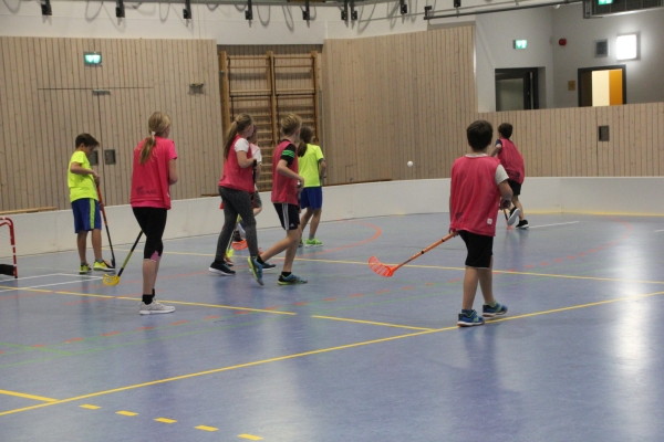 SMSFloorball18_14