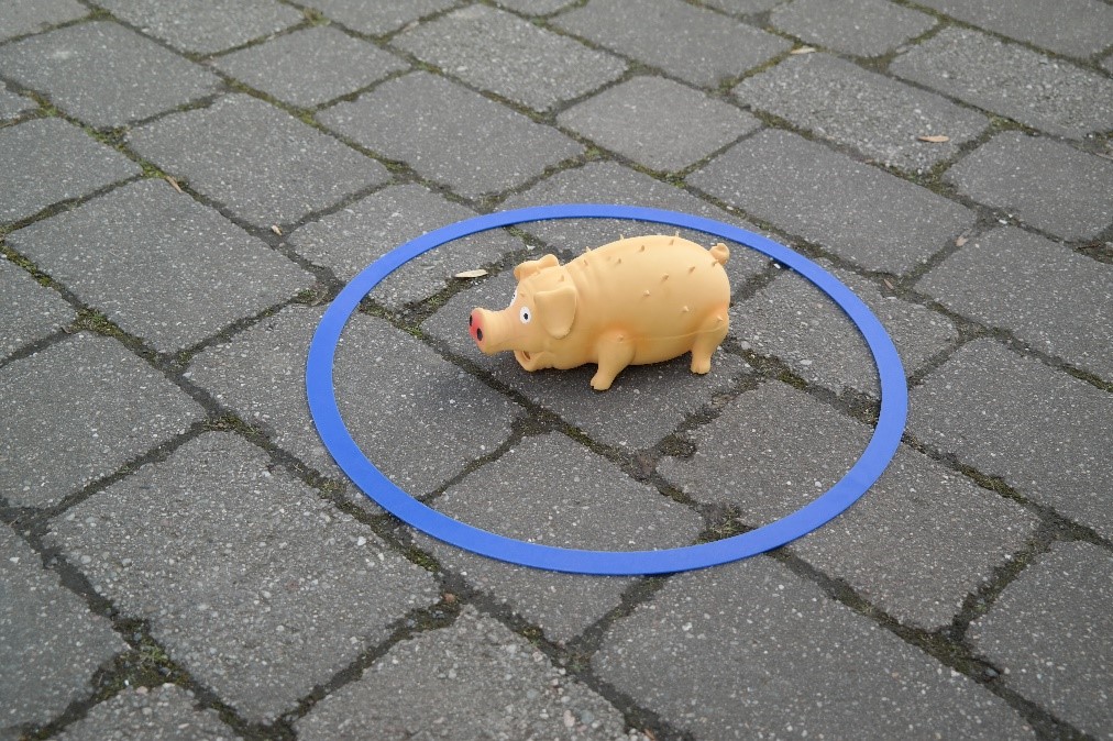 Bild3